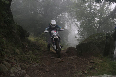 IMG_8733.jpg