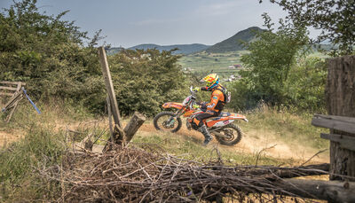 ttq-sebastian-popescu-203-1.jpg