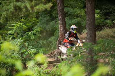 d1-sarbu-adrian_18_of_40.jpg